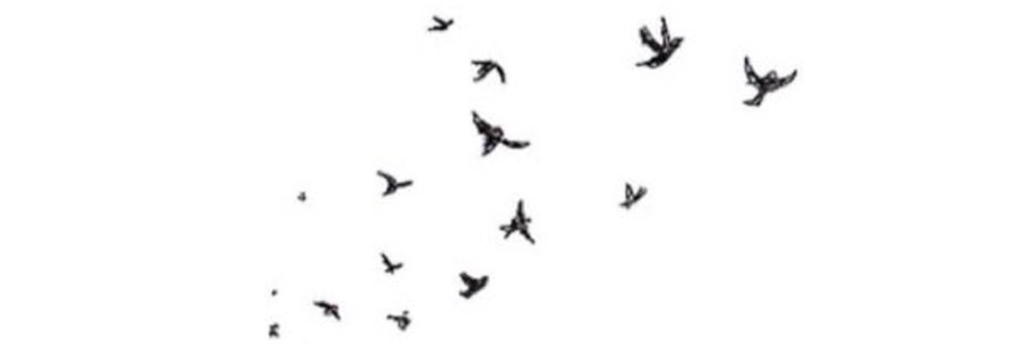 SH7Q_'s profile banner image