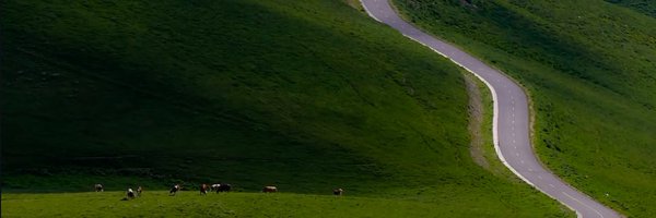 Petrit Profile Banner