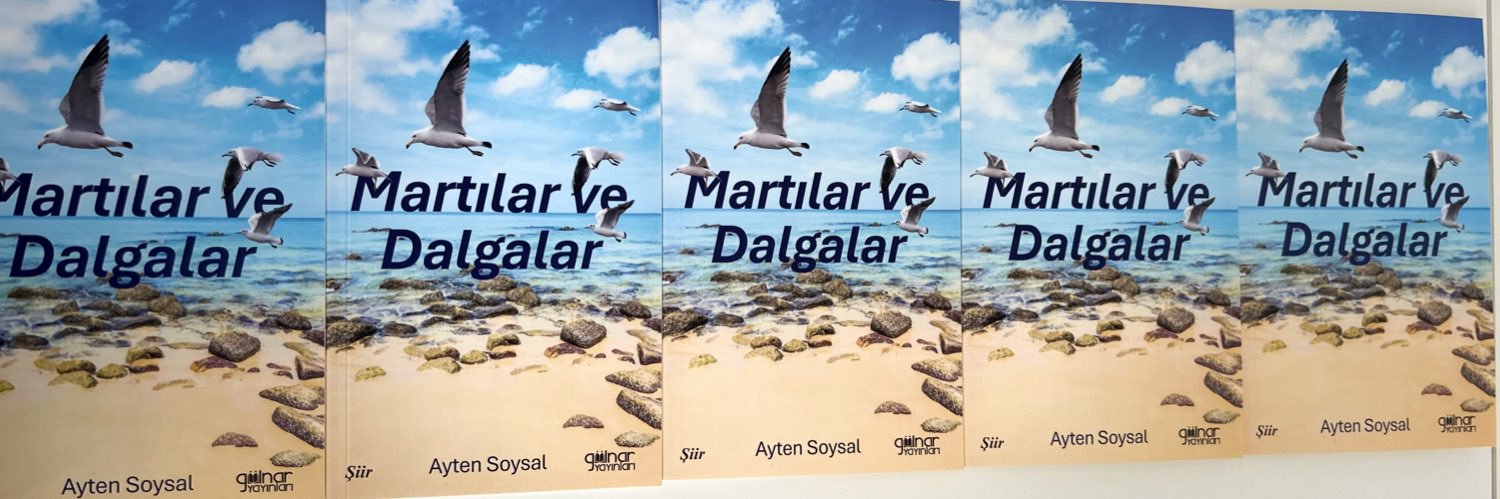 41123ayten's profile banner image