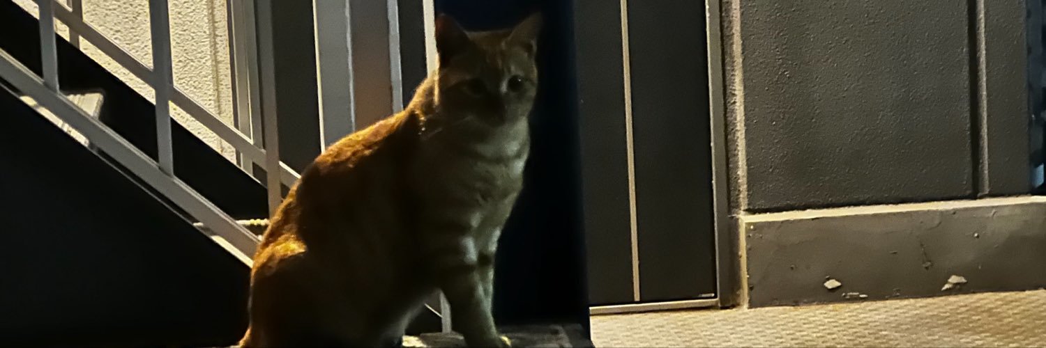 kyaro_zn2's profile banner image