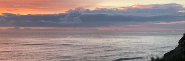 LisaWee10 Profile Banner