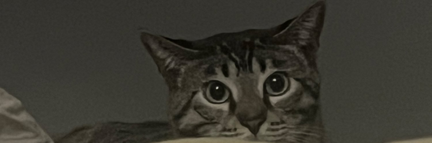 TREZNIIX banner