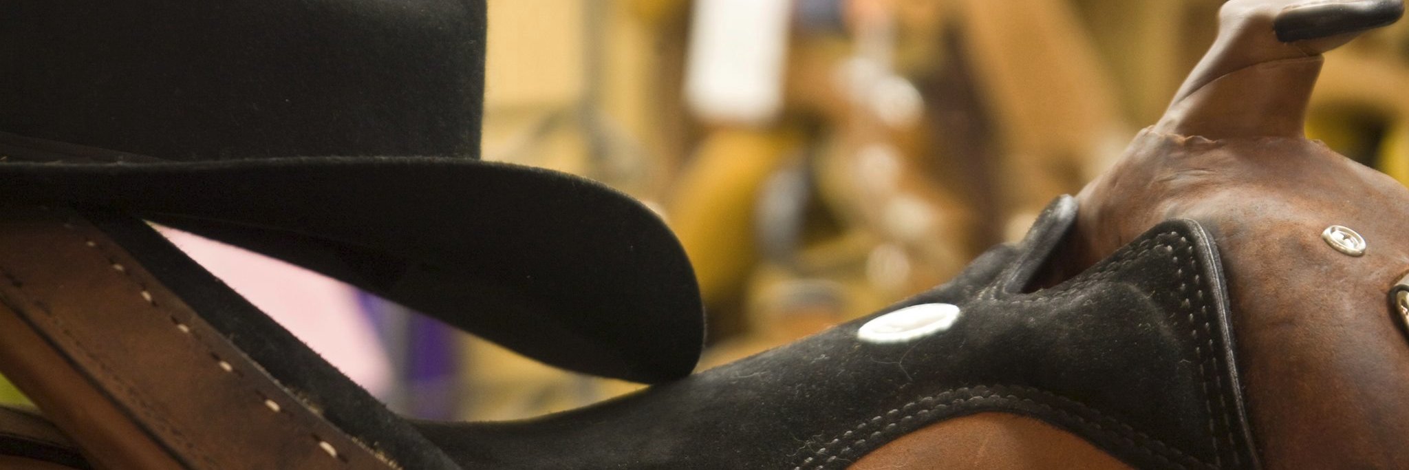 stagecoachwest's profile banner image