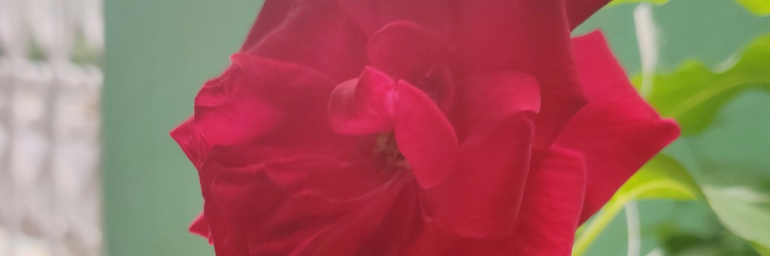 Prem745's profile banner image