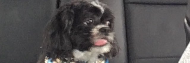 paitycake's profile banner image