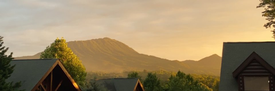 lilyslicee's profile banner image