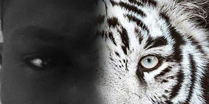 teslimsani's profile banner image