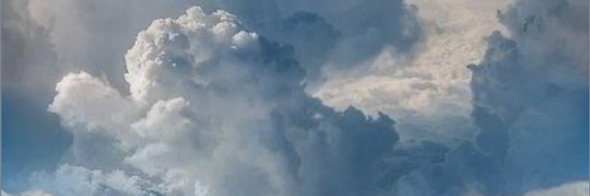 bumblebeealy's profile banner image