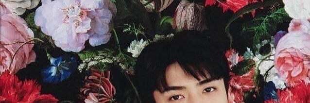 H e n ry banner