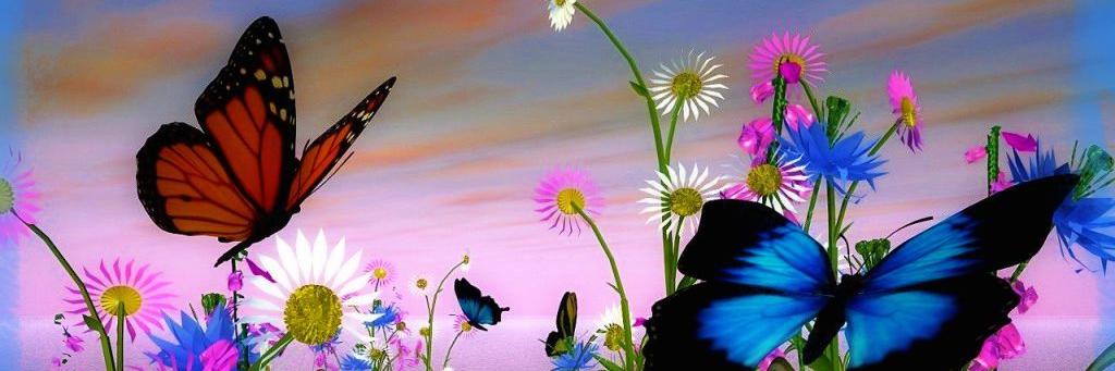 silfiescorpio's profile banner image