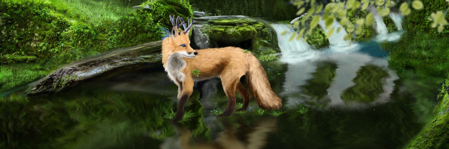 ofirwashere's profile banner image