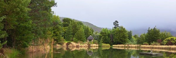 lucille_meyer Profile Banner