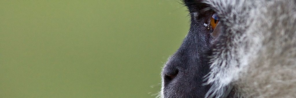 Manunet_'s profile banner image
