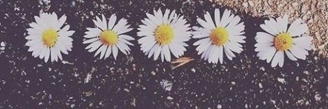 gicelik's profile banner image