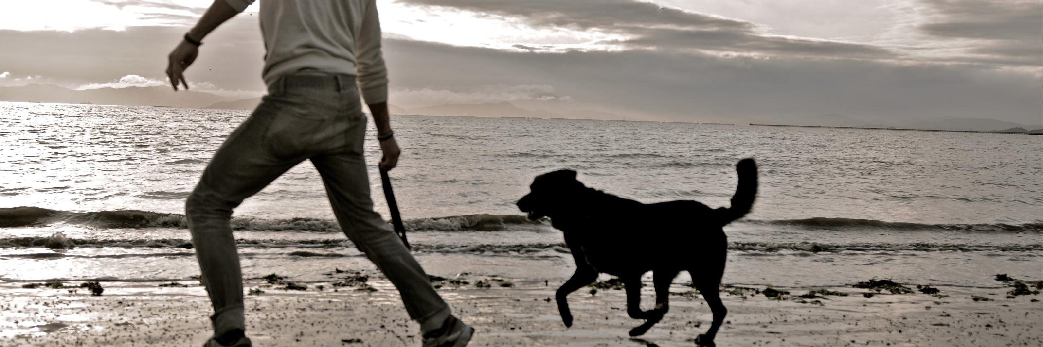 Jonathan Stoddard banner