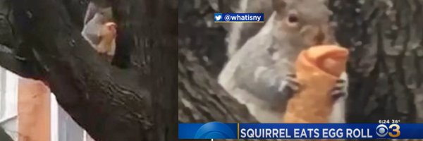 chloology Profile Banner