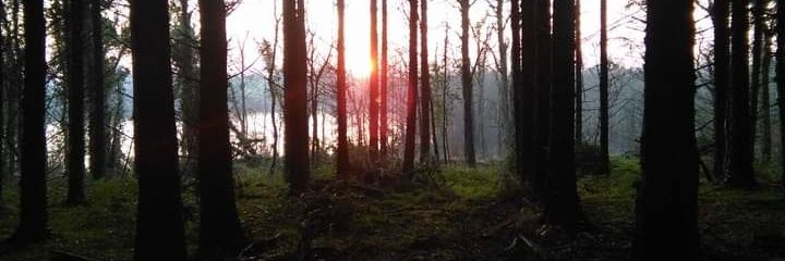 deanoreilly1997's profile banner image