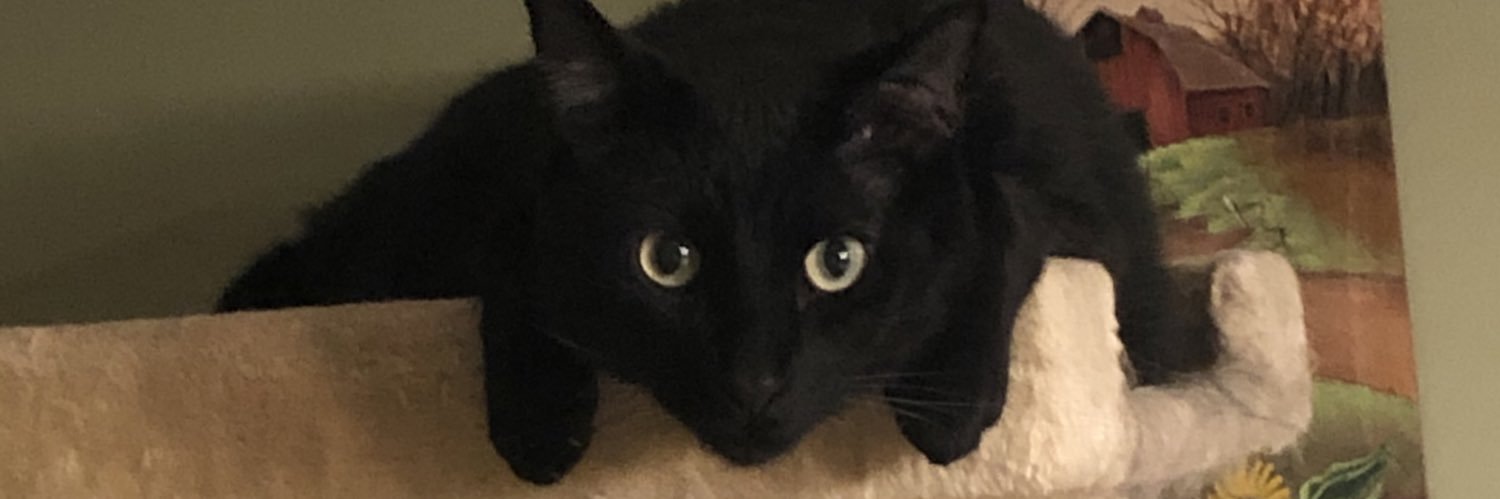 kmulc6's profile banner image