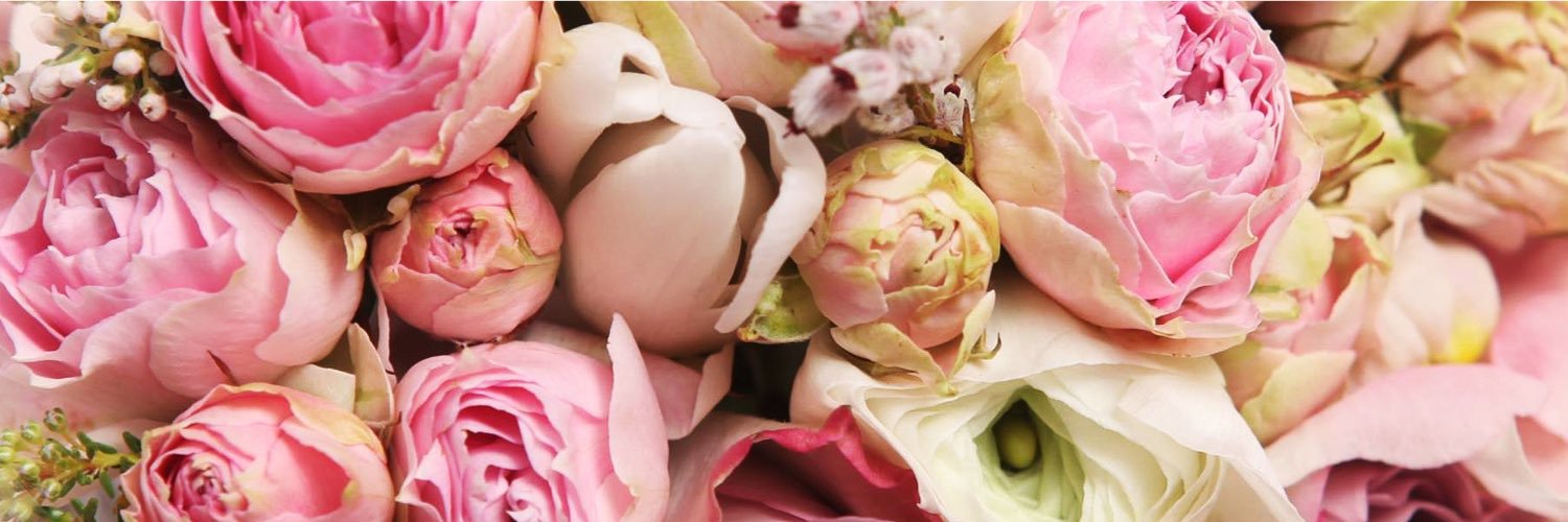 Irina_Davidyan's profile banner image