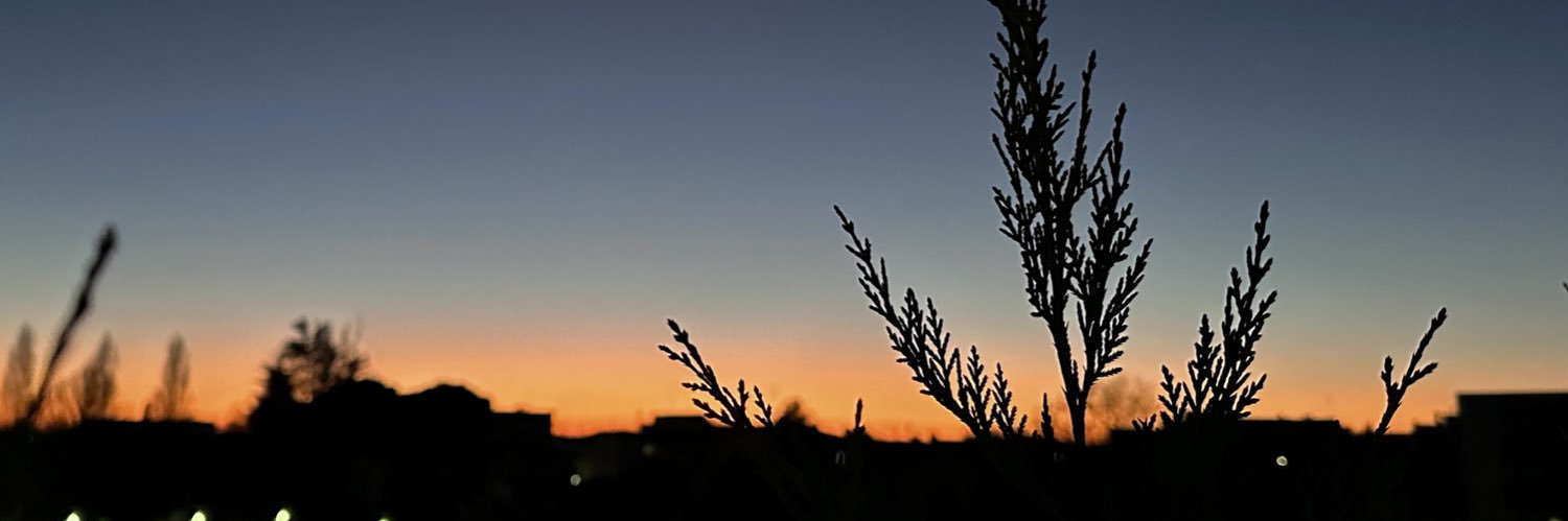 4__silvia__4's profile banner image