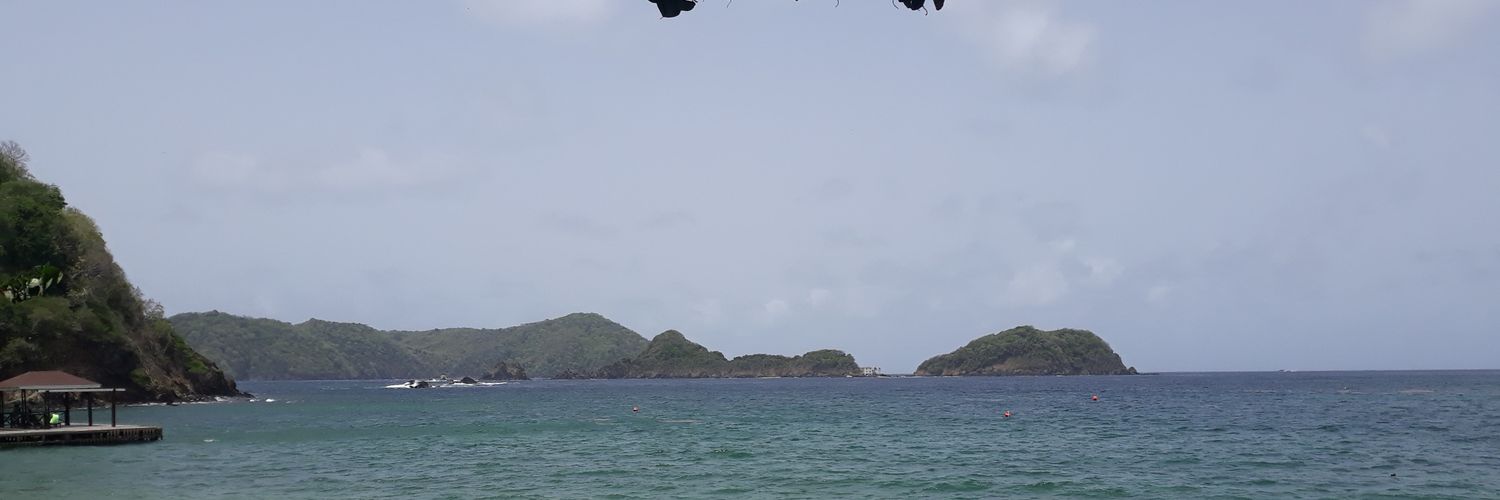 Soyini banner