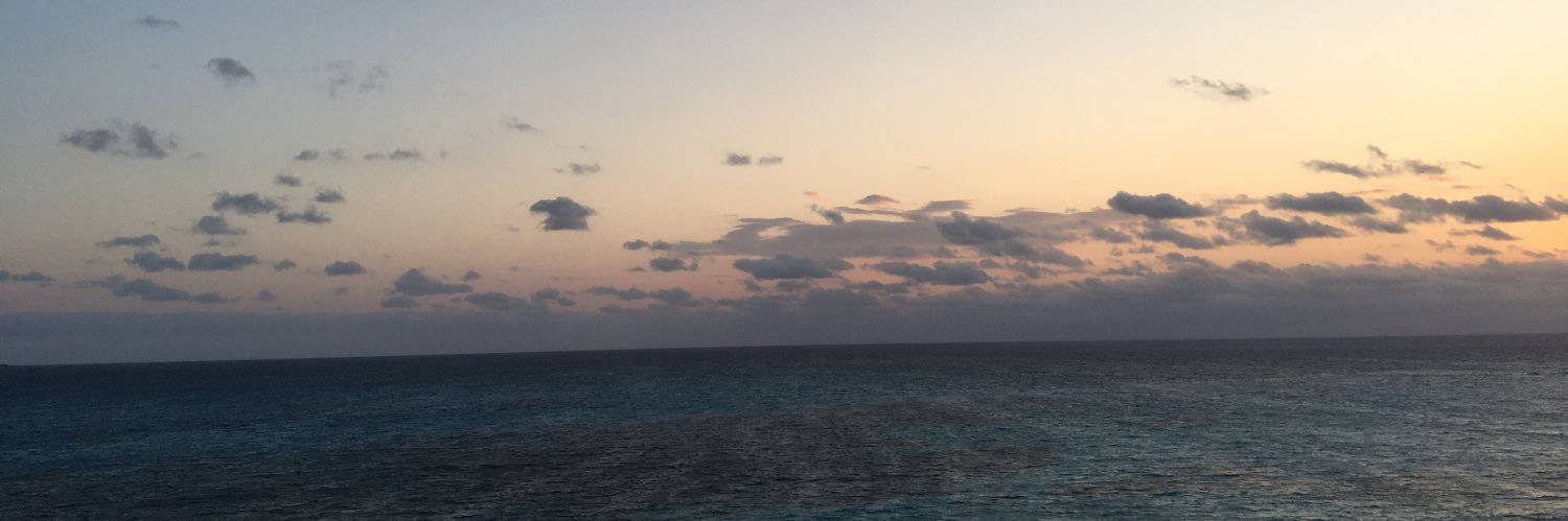 lewis_tunley's profile banner image