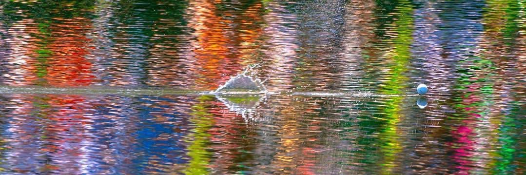 Julia M. Payne🇺🇸🦅 banner