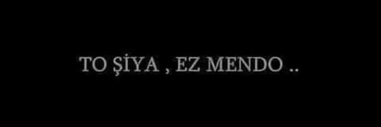 missliterati2's profile banner image