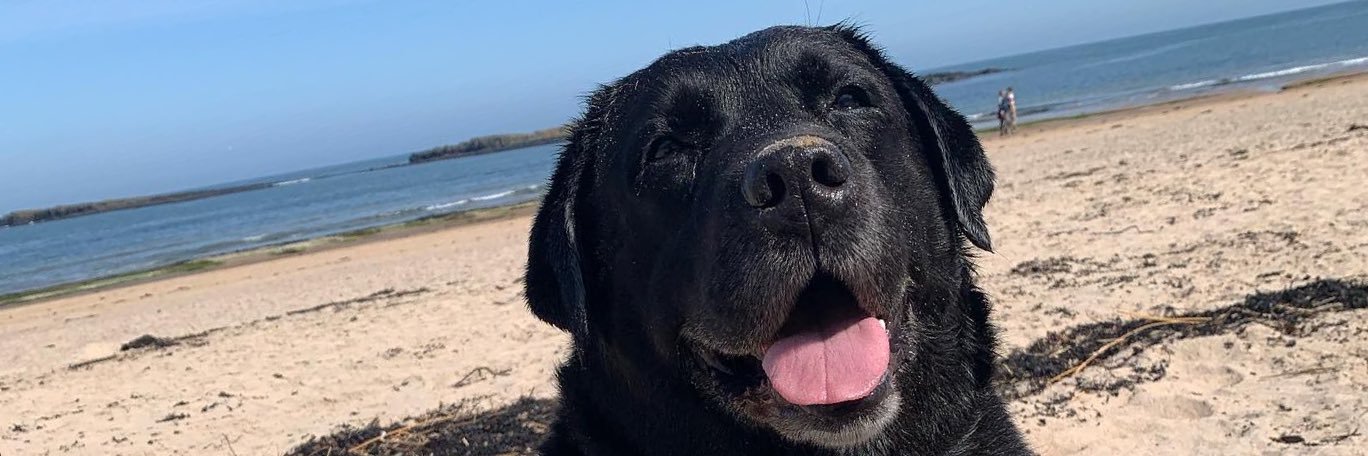 JAMIE PHILIPSON banner