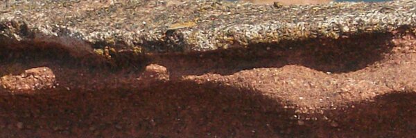 mrsmullarkey Profile Banner