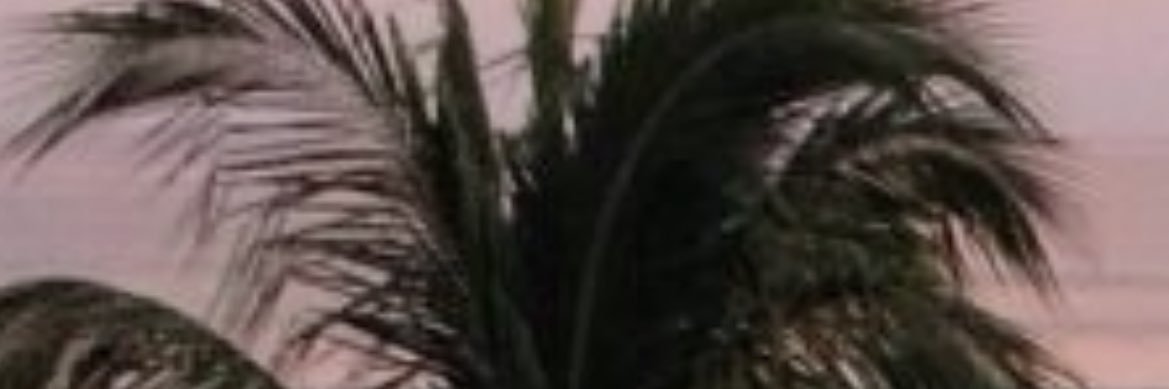 msaunders_17's profile banner image
