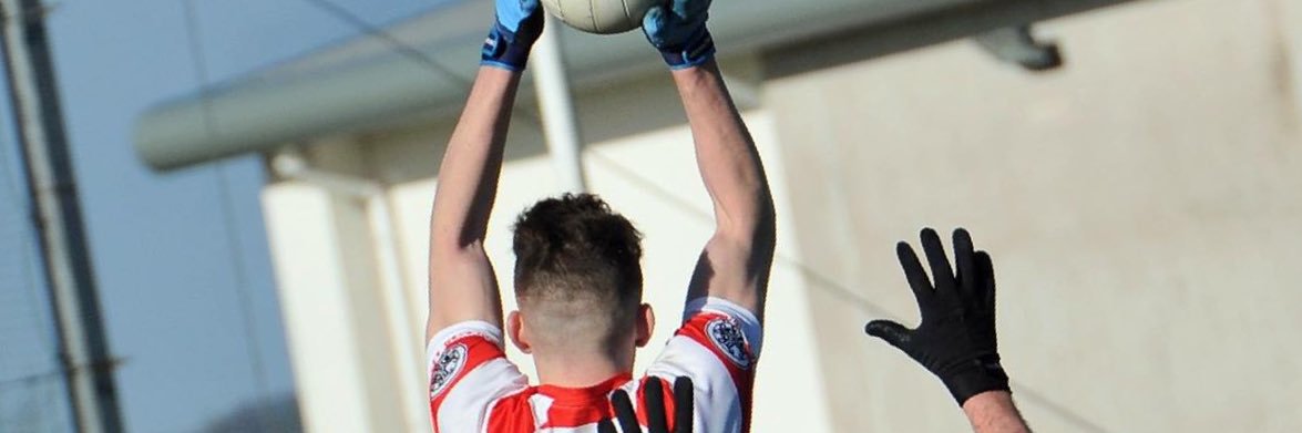 Sean Kelly banner