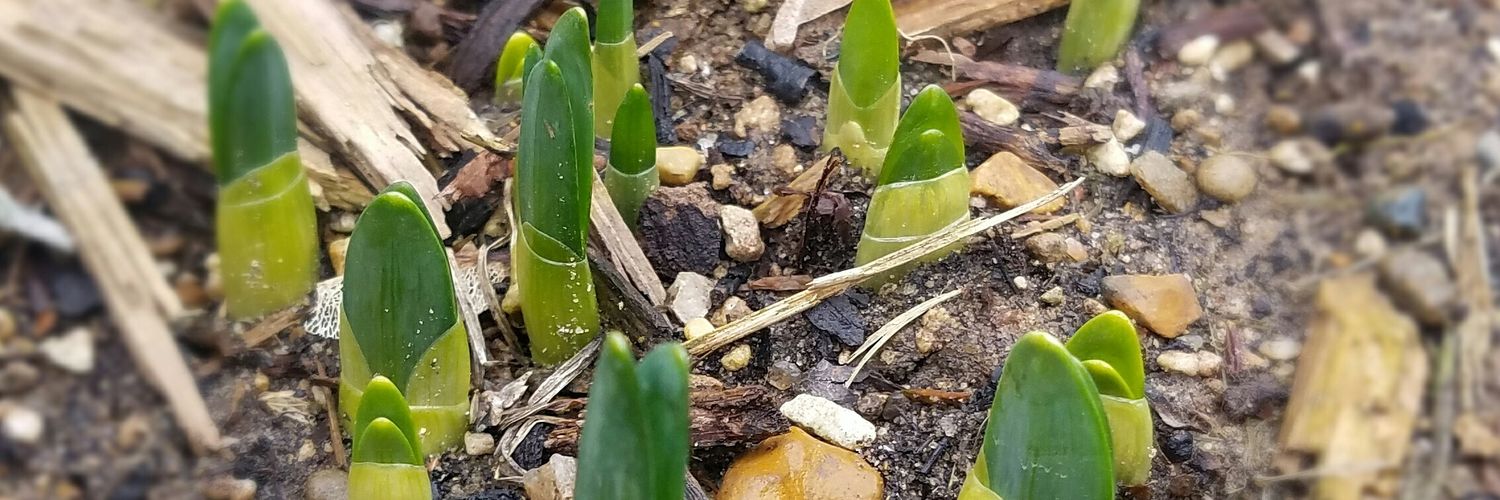 FusilierFarms96's profile banner image