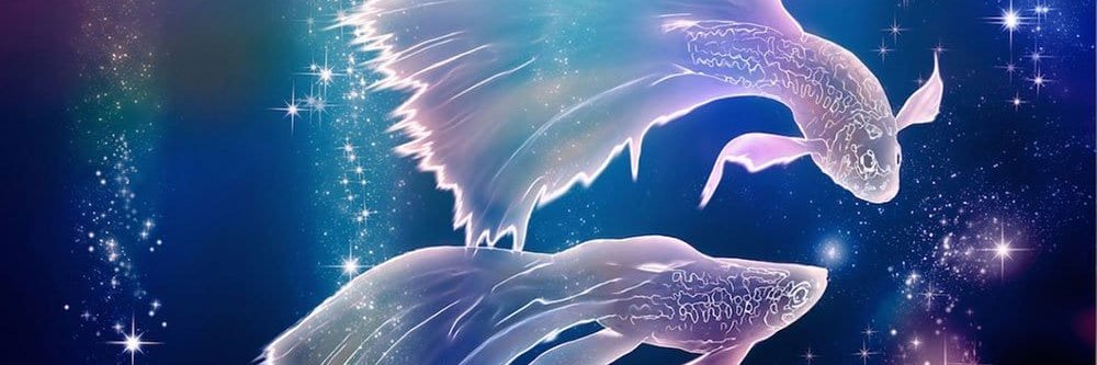 Igor Donchovski banner