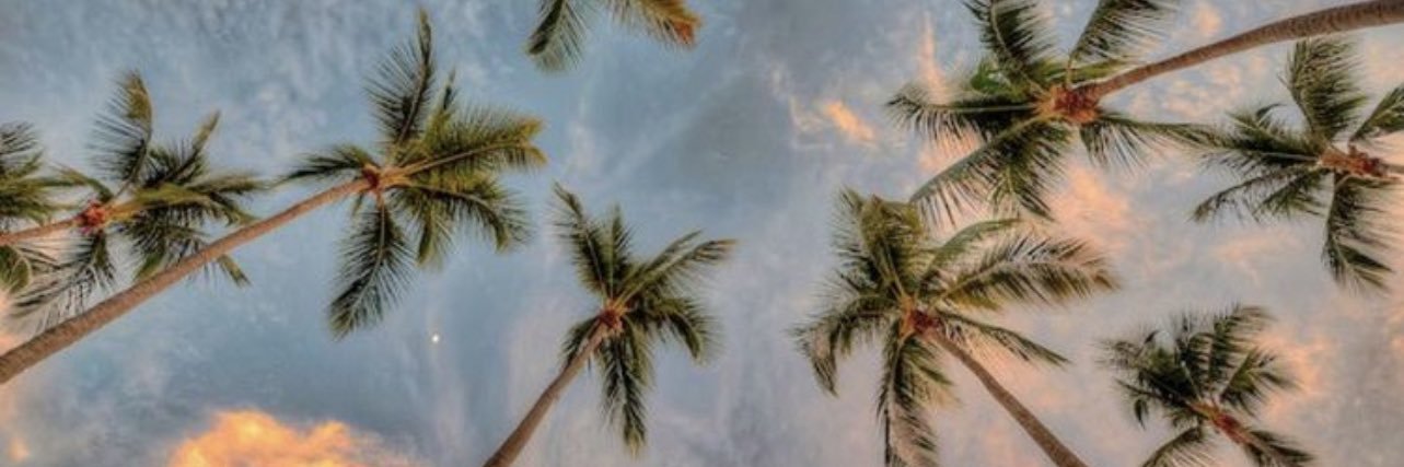 meeegueeel15's profile banner image