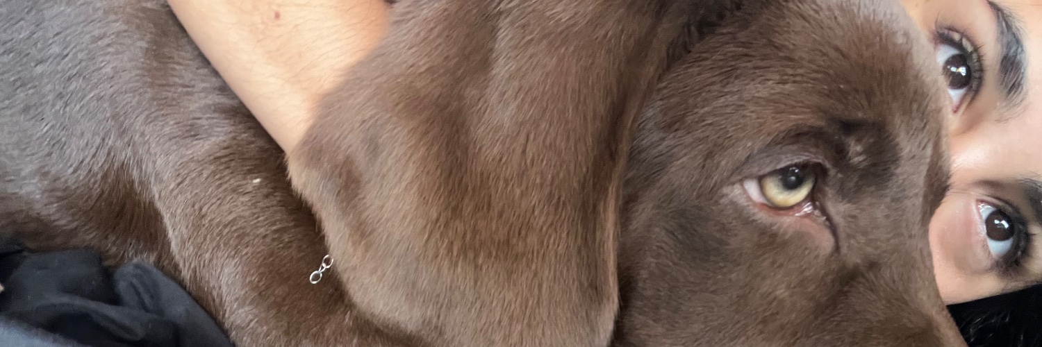 candefnz's profile banner image