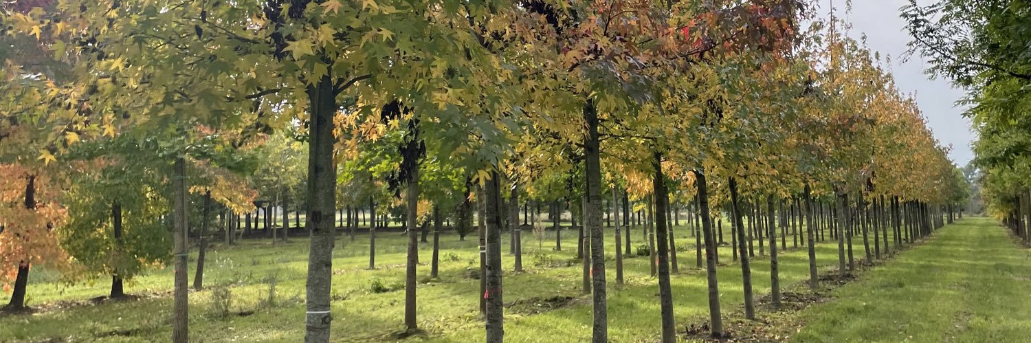 Ricky whiteman banner