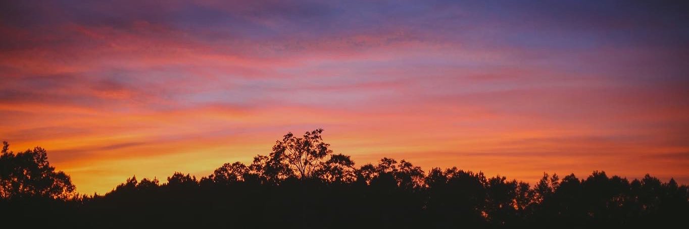 amylindss's profile banner image