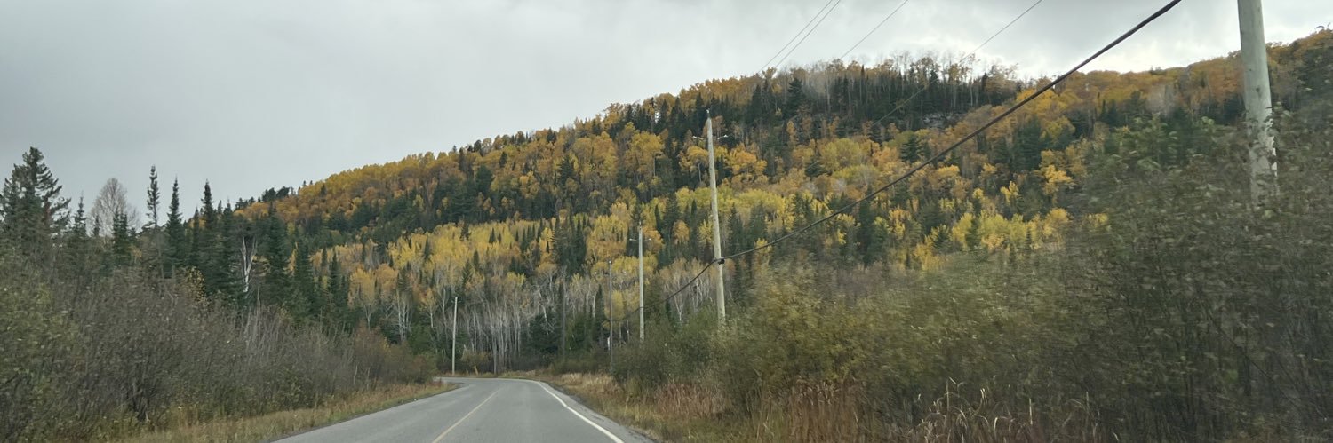 AshtynTrudeau's profile banner image