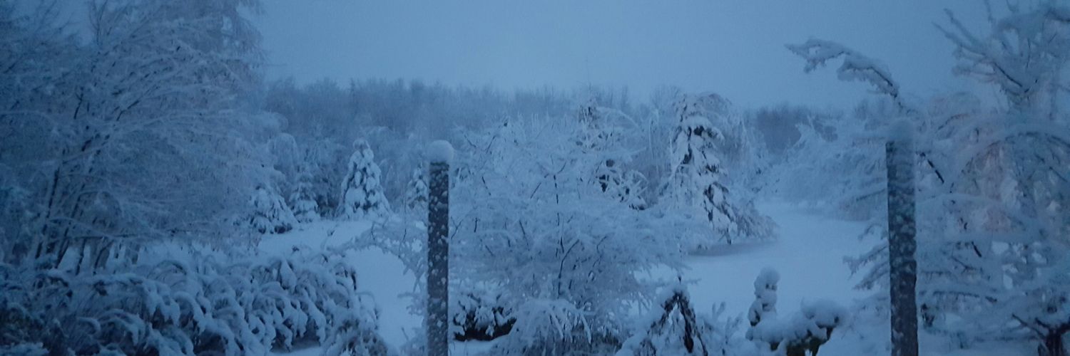 hoffnorth's profile banner image