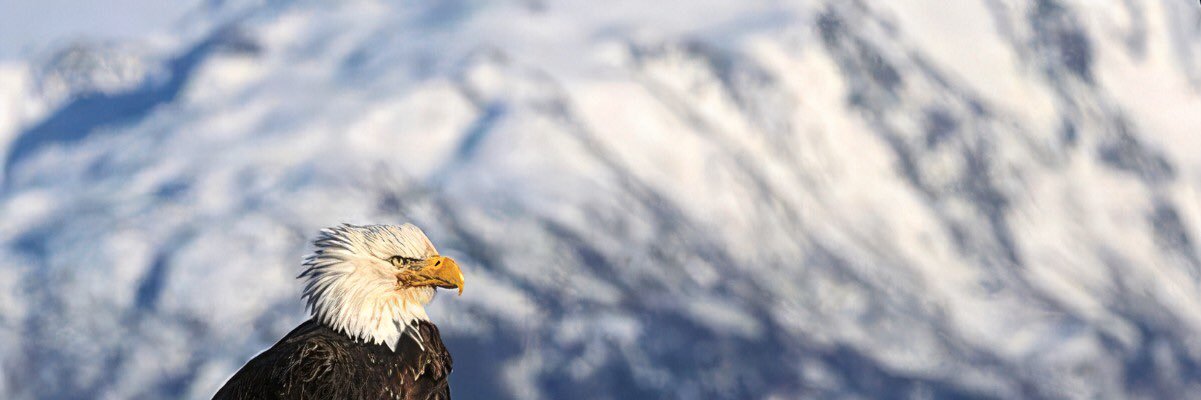 2moreWaffles's profile banner image