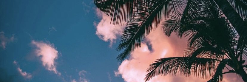 DanielaLR18's profile banner image