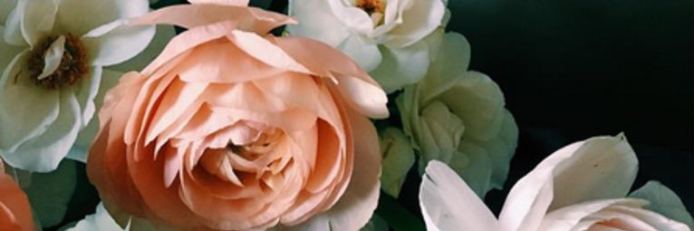 JordynHackbarth's profile banner image