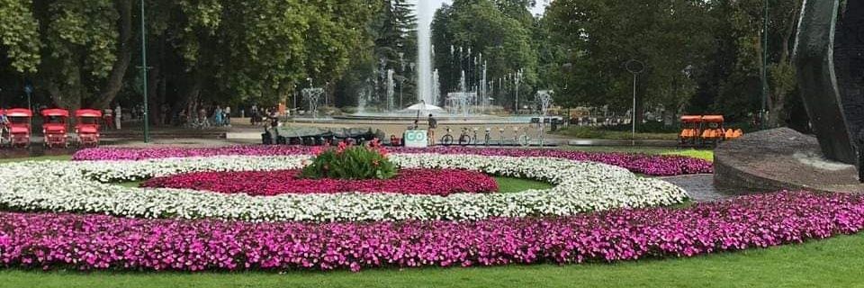 hind52086265's profile banner image