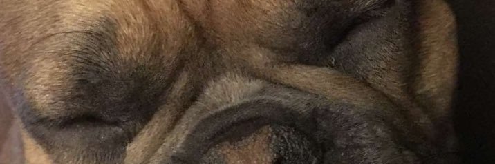JarryScheibs's profile banner image