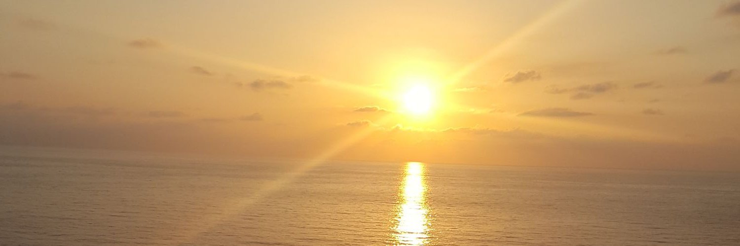 Silent Chin© banner