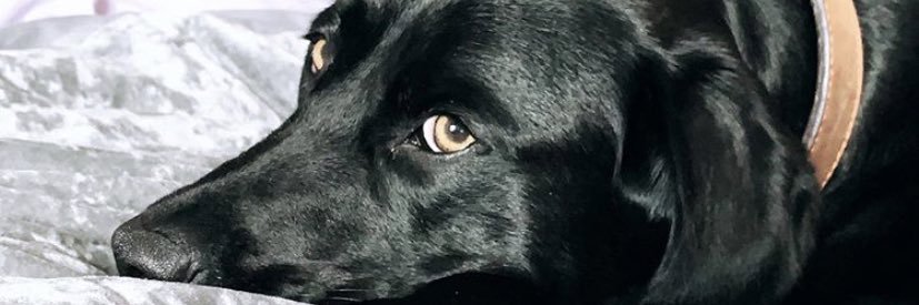 s3lrick's profile banner image