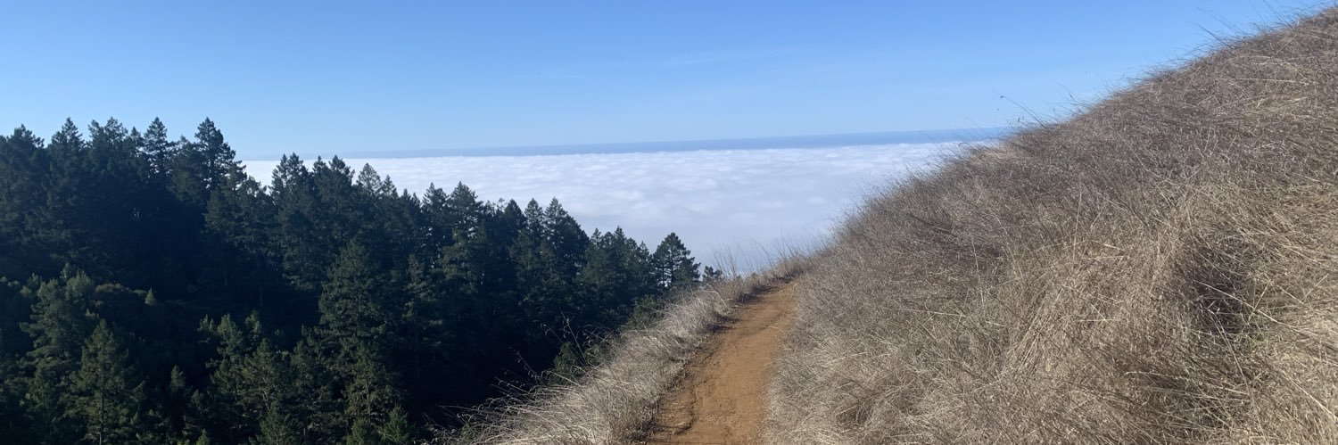 mikejstein's profile banner image