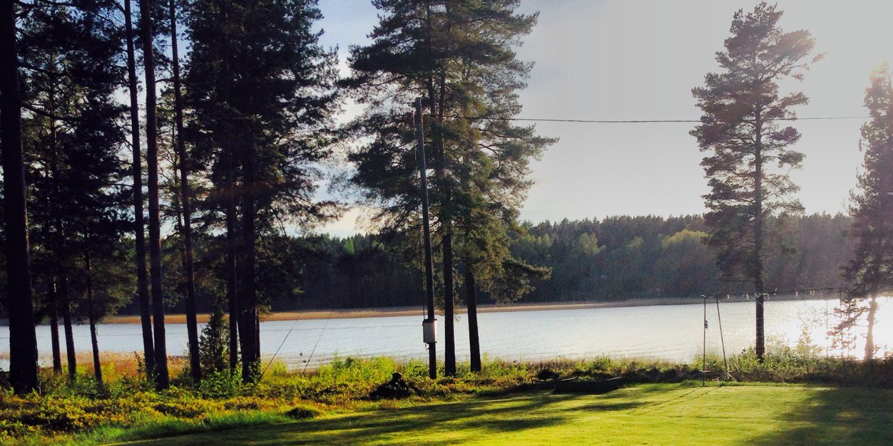 LinusFröberg banner