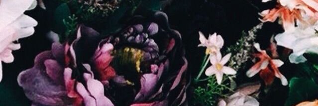 Babhe's profile banner image